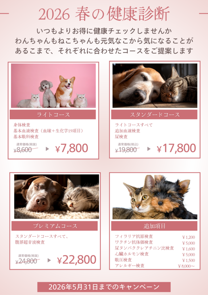 春の健康診断キャンペーン